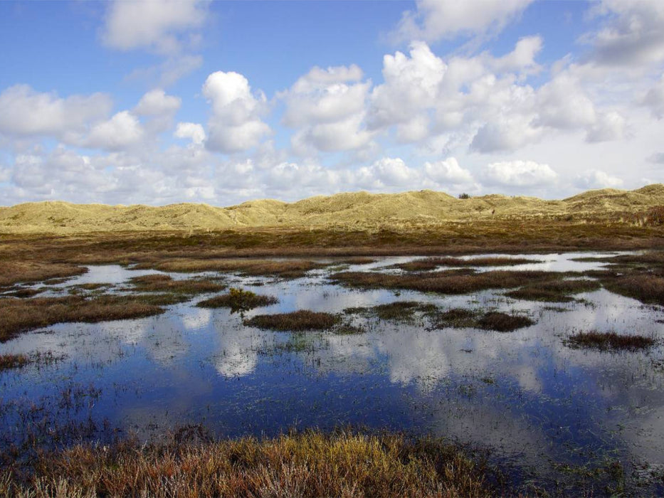 Dünen am Radweg nach Hvide Sande - CALVENDO Foto-Puzzle'
