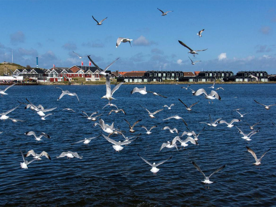 Hafen in Hvide Sande - CALVENDO Foto-Puzzle'