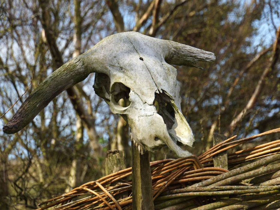Wikinger Museum in Bork - CALVENDO Foto-Puzzle'