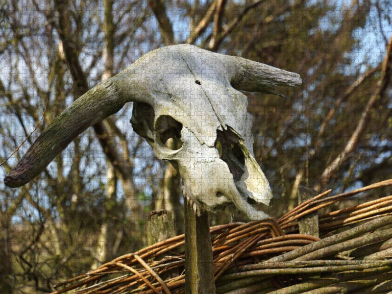 Wikinger Museum in Bork - CALVENDO Foto-Puzzle'