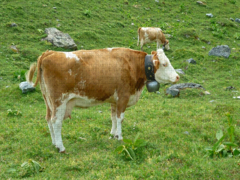 Kühe auf der schweizer Alm - CALVENDO Foto-Puzzle'