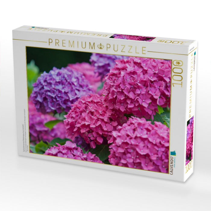 Gartenhortensie (Hydrangea macrophylla) - CALVENDO Foto-Puzzle'
