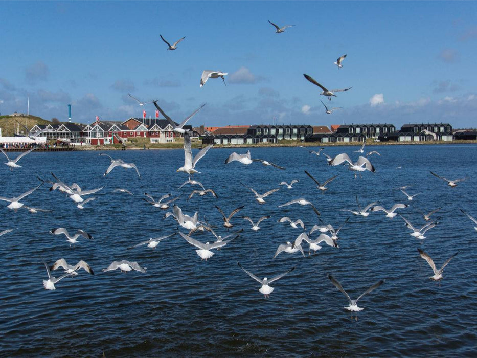 Hafen in Hvide Sande - CALVENDO Foto-Puzzle'