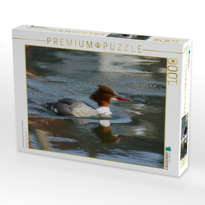 Gänsesäger (Mergus merganser) Weibchen - CALVENDO Foto-Puzzle'
