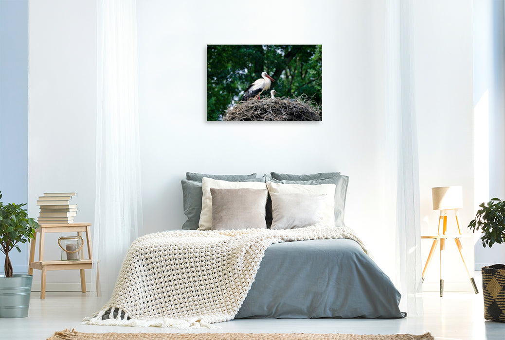 Toile textile premium Toile textile premium 120 cm x 80 cm paysage Cigogne avec sa progéniture dans le nid 