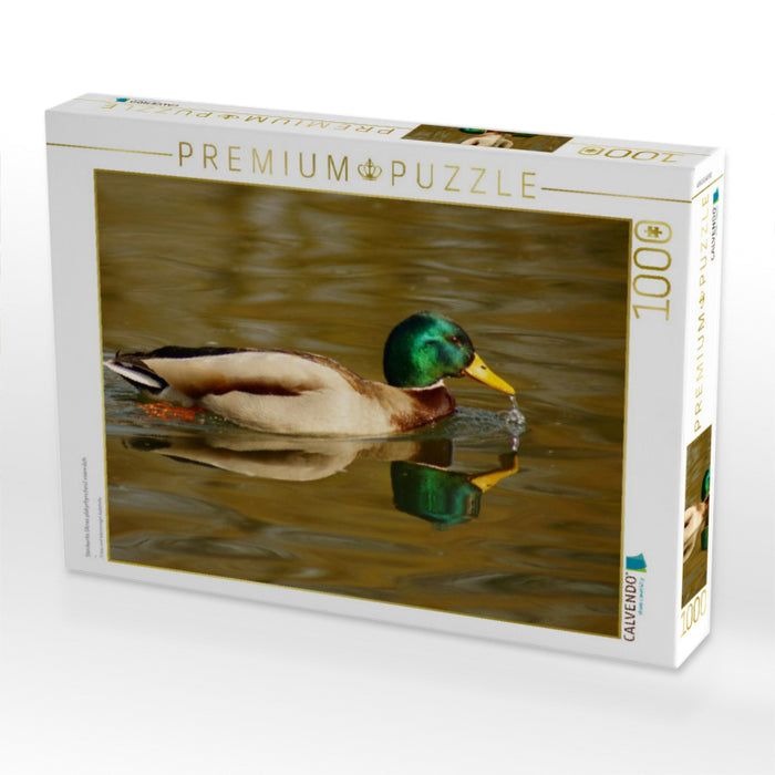 Stockente (Anas platyrhynchos) männlich - CALVENDO Foto-Puzzle'
