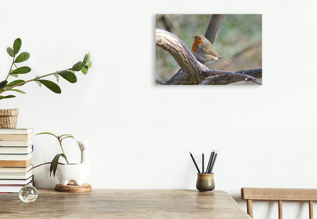 Premium textile canvas Premium textile canvas 45 cm x 30 cm landscape robin 