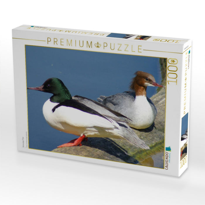 Gänsesäger Paar - CALVENDO Foto-Puzzle'