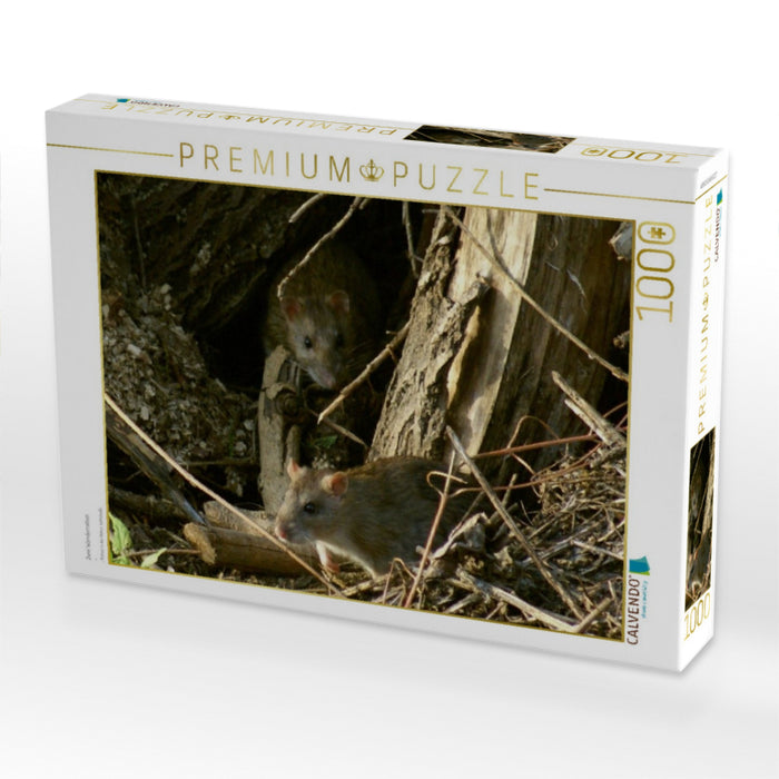 Zwei Wanderratten - CALVENDO Foto-Puzzle'