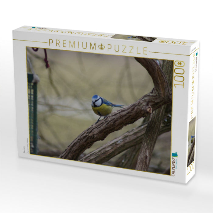 Blaumeise - CALVENDO Foto-Puzzle'