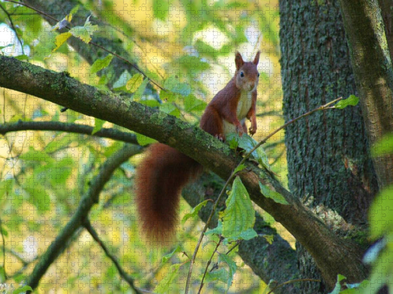 Mach Männchen - CALVENDO Foto-Puzzle'