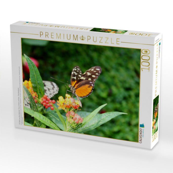 Ein Motiv aus dem Kalender Tiere in Parks und Zoos - Familienplaner - CALVENDO Foto-Puzzle'
