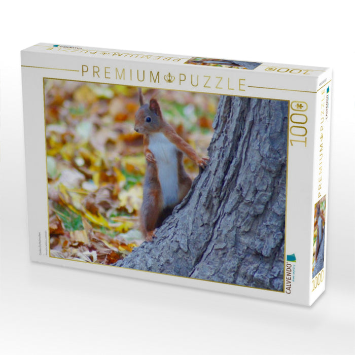 Cooles Eichhörnchen - CALVENDO Foto-Puzzle'