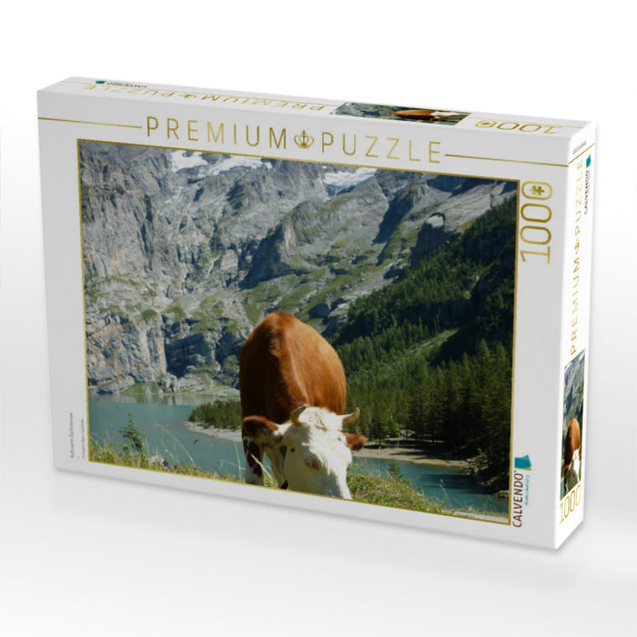 Kuh vorm Öschinensee - CALVENDO Foto-Puzzle'