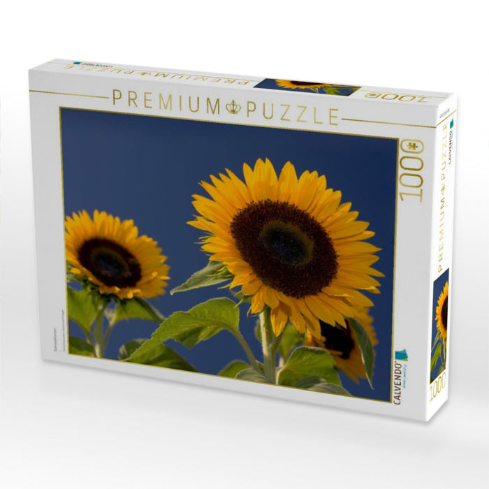 Sonnenblumen - CALVENDO Foto-Puzzle'