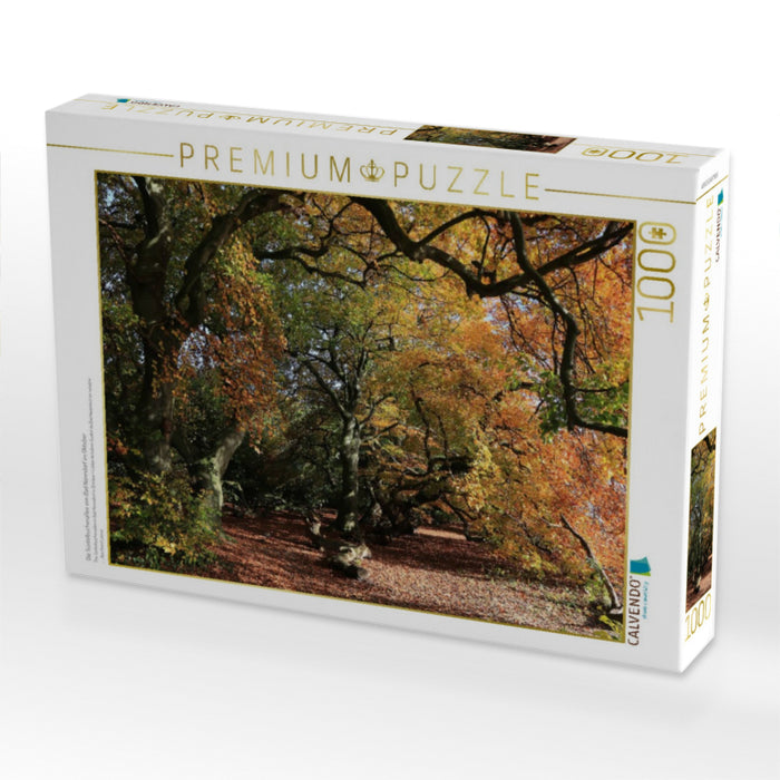 Die Süntelbuchenallee von Bad Nenndorf im Oktober - CALVENDO Foto-Puzzle'