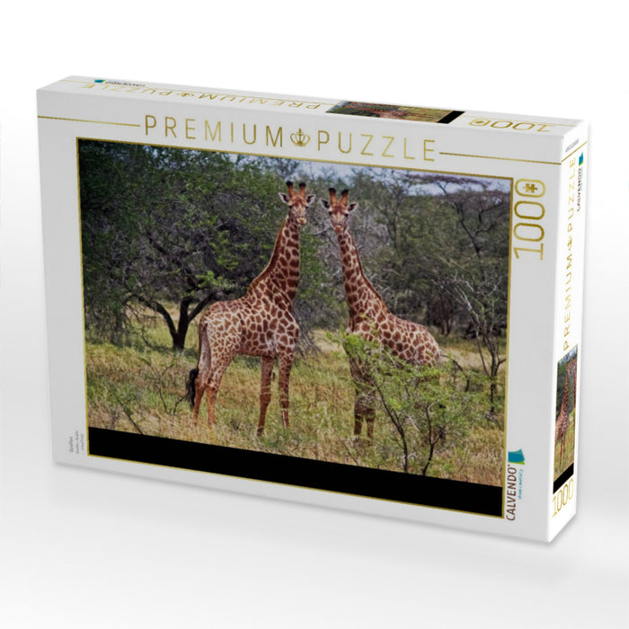 Giraffen - CALVENDO Foto-Puzzle'