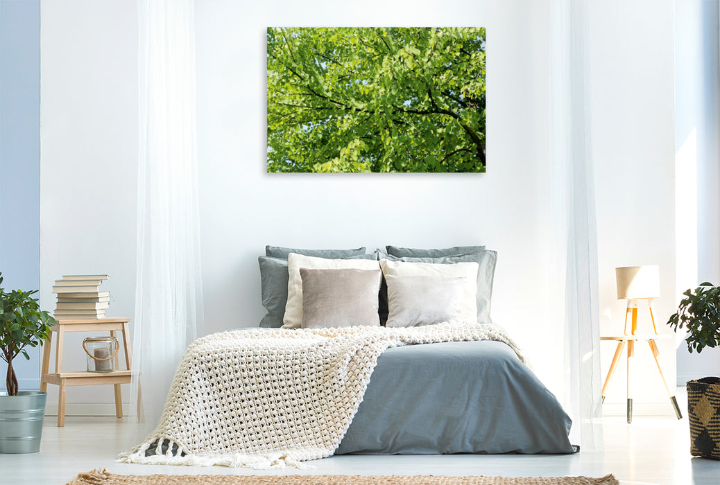 Toile textile premium Toile textile premium 120 cm x 80 cm paysage arbre Katsura 