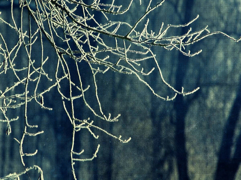 Zweige im Winter - Retro - CALVENDO Foto-Puzzle'