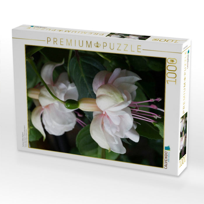 Fuchsie Jollies Avignon - CALVENDO Foto-Puzzle'