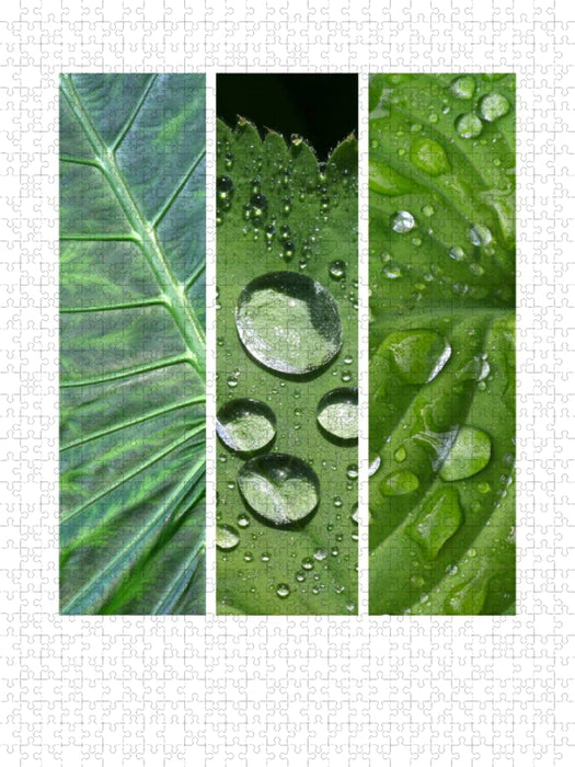 Natural Trios - Grün - CALVENDO Foto-Puzzle'