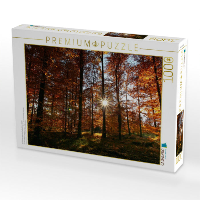 Sonnenstrahlen im herbstlichen Wald - CALVENDO Foto-Puzzle'