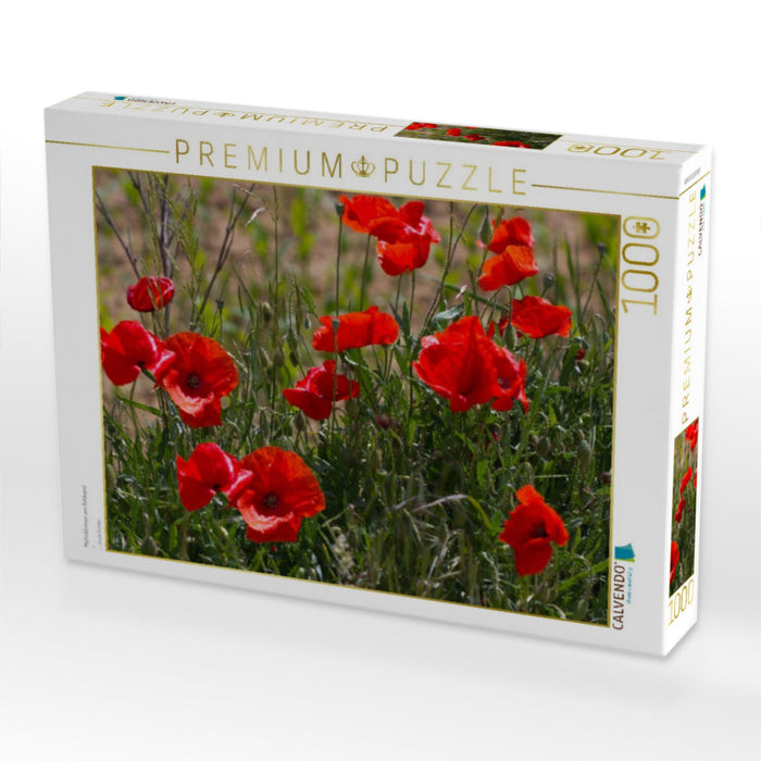 Mohnblumen am Feldrand - CALVENDO Foto-Puzzle'