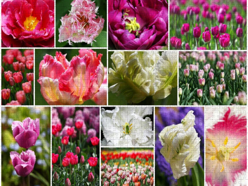 Tulpen Collage - CALVENDO Foto-Puzzle'