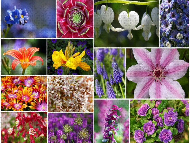 Staudenblumen Collage - CALVENDO Foto-Puzzle'
