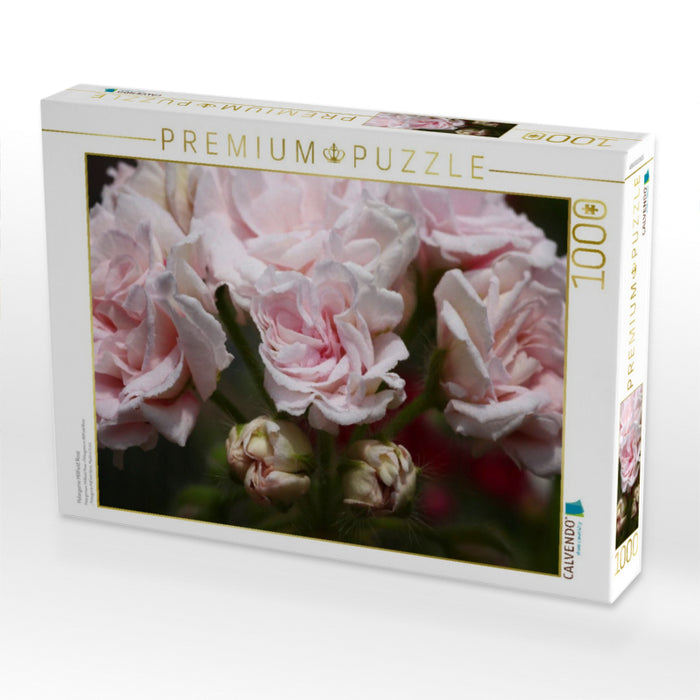 Pelargonie Millfield Rose - CALVENDO Foto-Puzzle'