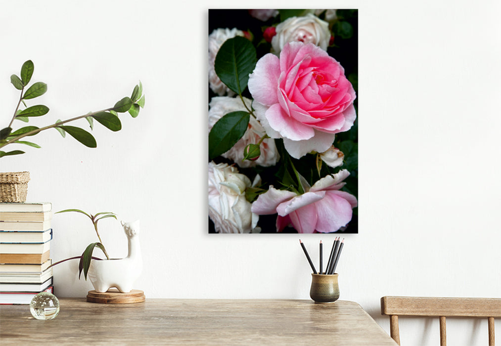 Premium Textil-Leinwand Premium Textil-Leinwand 80 cm x 120 cm  hoch Wunderschöne Rosen im Garten