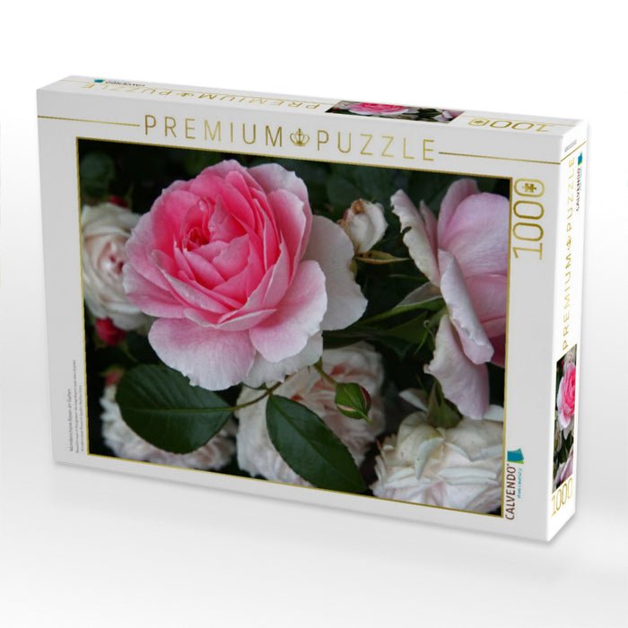 Wunderschöne Rosen im Garten - CALVENDO Foto-Puzzle'