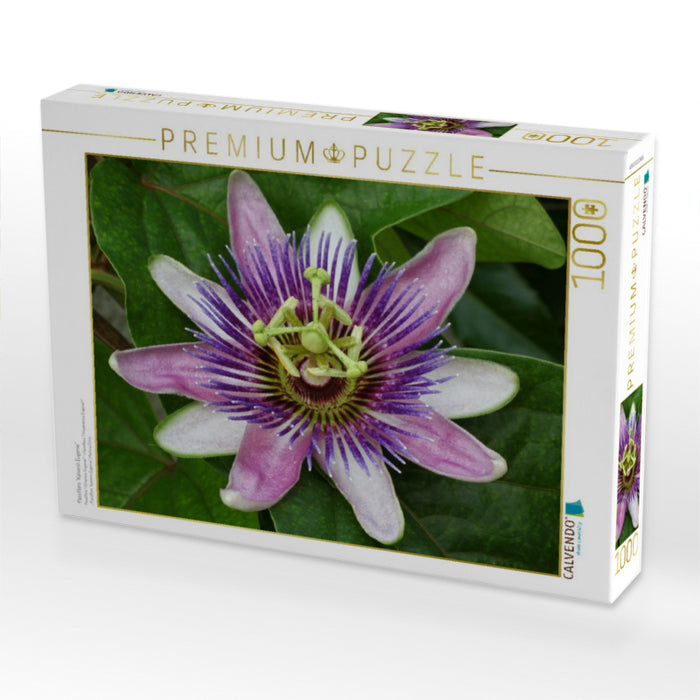 Passiflora "Kaiserin Eugenie" - CALVENDO Foto-Puzzle'