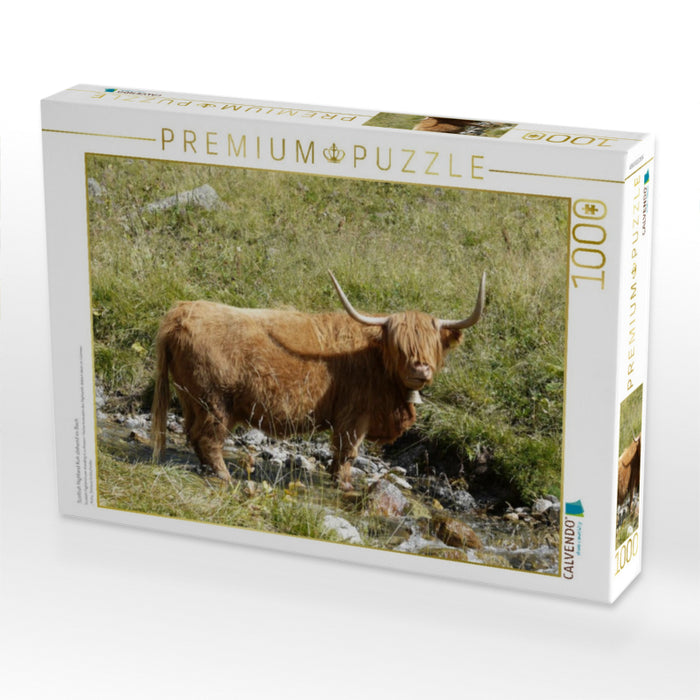 Scottish Highland Kuh stehend im Bach - CALVENDO Foto-Puzzle'