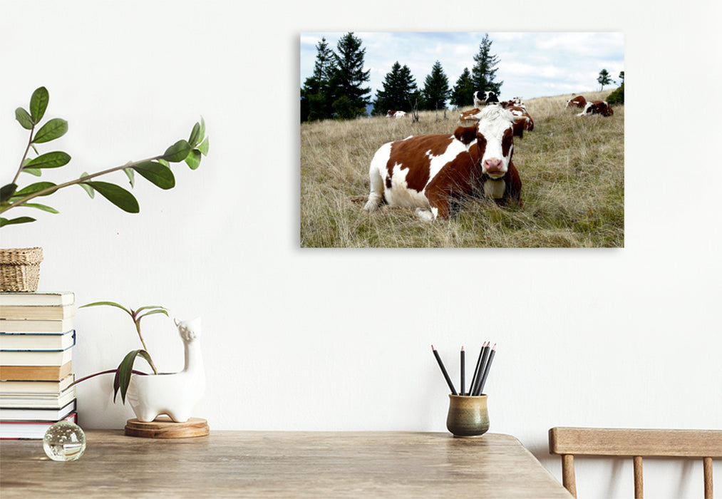 Premium Textil-Leinwand Premium Textil-Leinwand 90 cm x 60 cm quer Ein Motiv aus dem Kalender Schwarzwald und Kühe im Hochformat