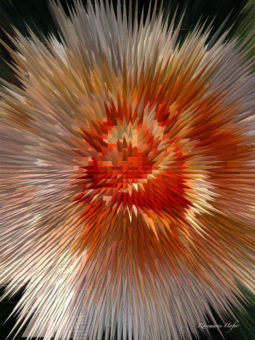 Flower Explosion III PHOTO ART° by Rosemarie Hofer - CALVENDO Foto-Puzzle'