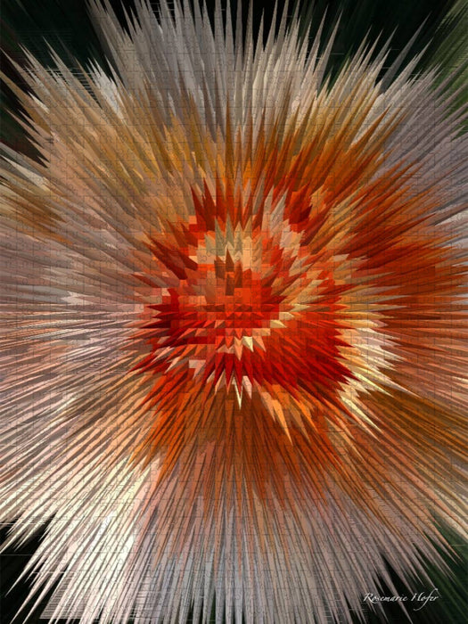 Flower Explosion III PHOTO ART° by Rosemarie Hofer - CALVENDO Foto-Puzzle'