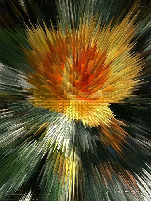 Flower Explosion Flower Explosion X PHOTO ART° V PHOTO ART° by Rosemarie Hofer - CALVENDO Foto-Puzzle'