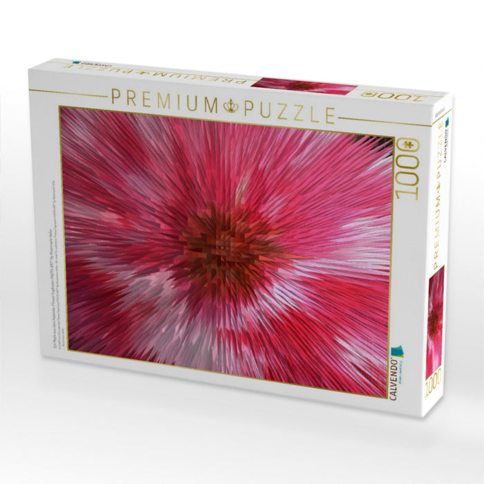 Ein Motiv aus dem Kalender Flower Explosion PHOTO ART° by Rosemarie Hofer - CALVENDO Foto-Puzzle'