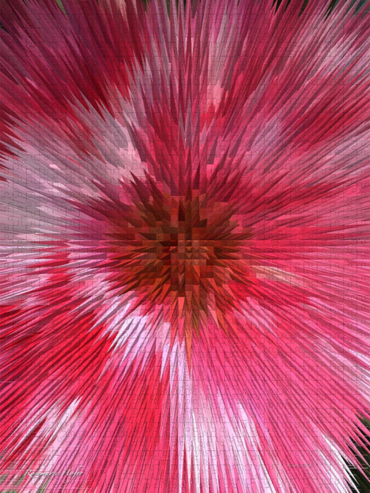 Ein Motiv aus dem Kalender Flower Explosion PHOTO ART° by Rosemarie Hofer - CALVENDO Foto-Puzzle'