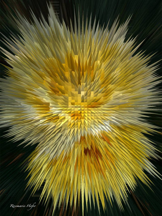 Flower Explosion I PHOTO ART° by Rosemarie Hofer - CALVENDO Foto-Puzzle'
