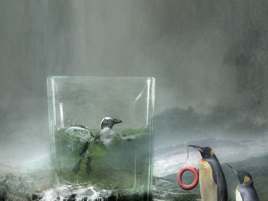 Und nun? - CALVENDO Foto-Puzzle'