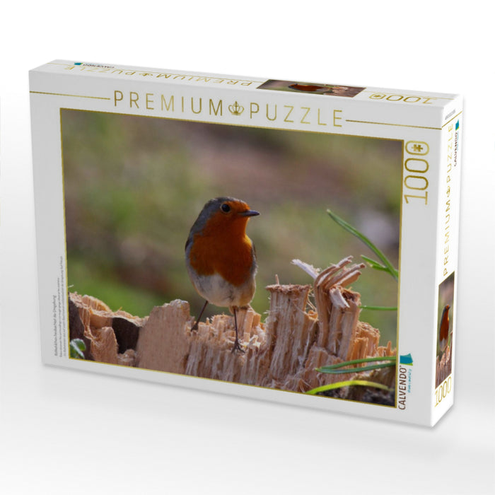 Rotkehlchen beobachtet die Umgebung - CALVENDO Foto-Puzzle'
