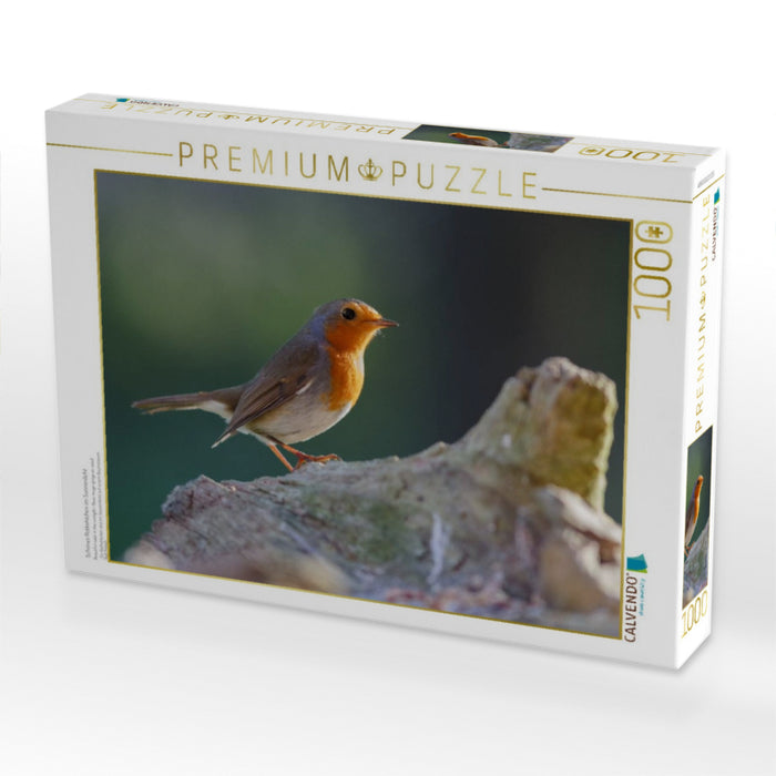 Schönes Rotkehlchen im Sonnenlicht - CALVENDO Foto-Puzzle'
