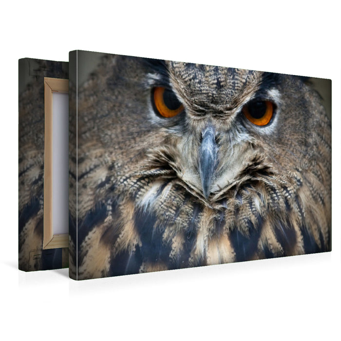 Premium Textil-Leinwand Eule