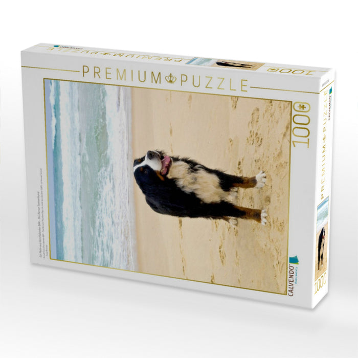 Ein Motiv aus dem Kalender BÄR - Der Berner Sennenhund - CALVENDO Foto-Puzzle'