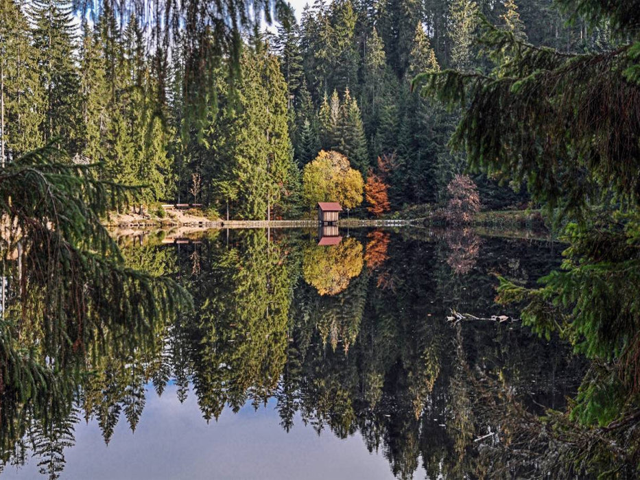 Der Glaswaldsee bei Bad Peterstal - CALVENDO Foto-Puzzle'
