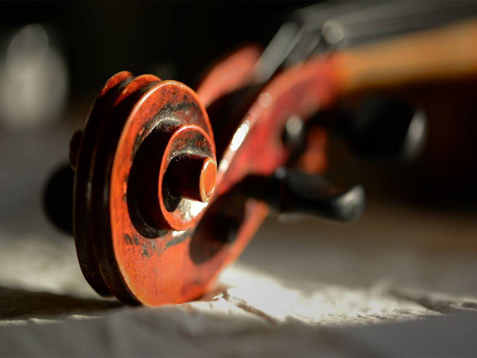 Schnecke - CALVENDO Foto-Puzzle'