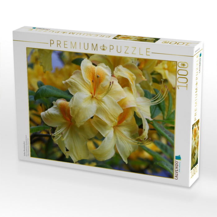 Gelber Rhododendron - CALVENDO Foto-Puzzle'