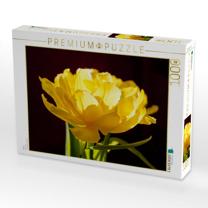 Tulpe - CALVENDO Foto-Puzzle'